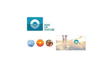 從LOGO到品牌靈魂 企業(yè)形象設(shè)計的全方位構(gòu)建